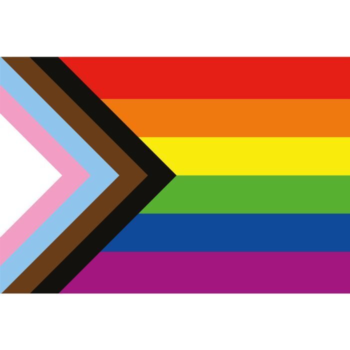 lgbtqia+ vlag